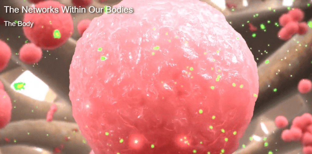 "The Networks within our Bodies" - Curiosity Stream - viewed on the T95 Max+