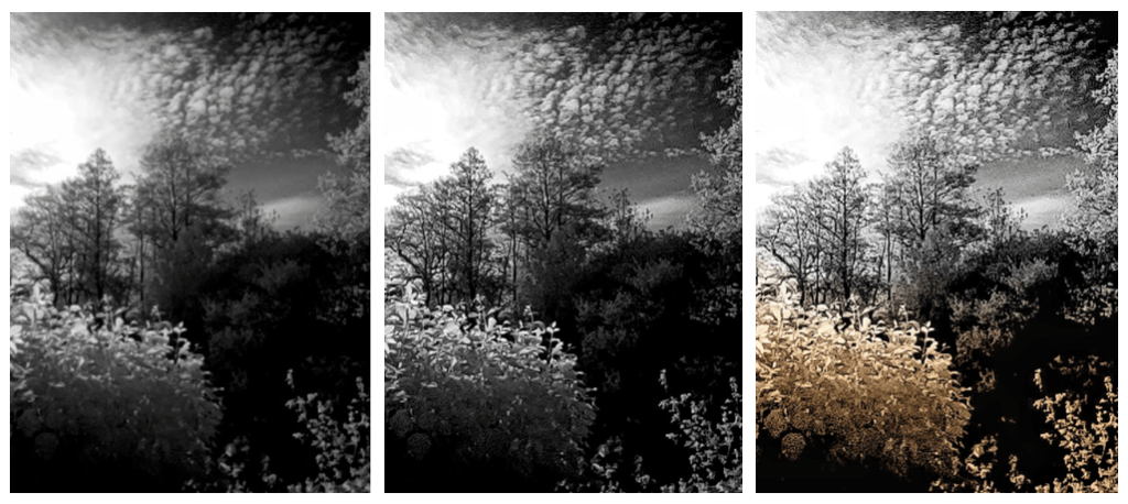 IR photography