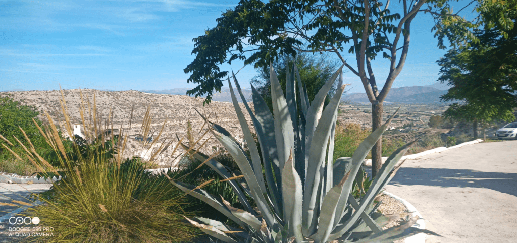 Roundabout shot - S96 Pro