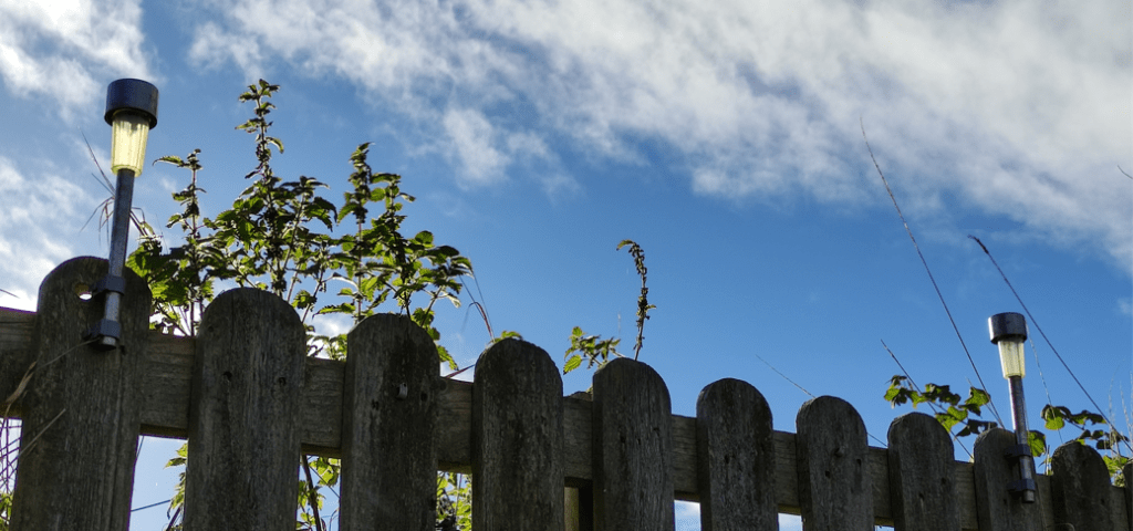 Poundland Solar Lights in the garden