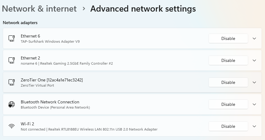 Adaptors before inserting the new Fenfv WiFi 6 adaptor - Windows 11 PC (64 bit)