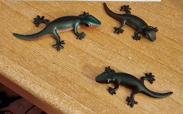 Geckos