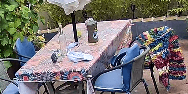 Reolink Elite WiFi Dual Lens Camera